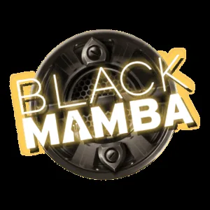 Black Mamba