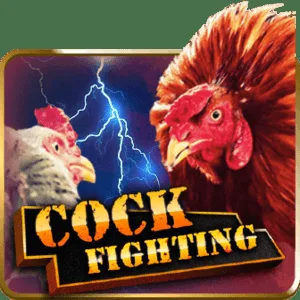 Cock Fight PHI